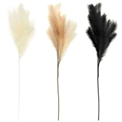 B&M Pampas Stem - Black 5 B&M Pampas Stem - Black -Cheap Warm House Furnish Store 372800 395541 394382 pamas stem group 2