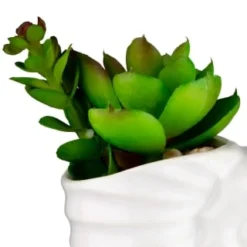 B&M Scandi Shore Small Shell Succulent -Cheap Warm House Furnish Store 380110 small shell succulent 2