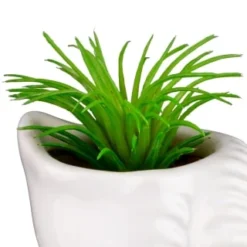 B&M Scandi Shore Small Shell Succulent -Cheap Warm House Furnish Store 380110 small shell succulent 5