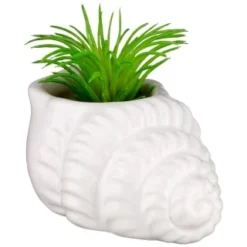 B&M Scandi Shore Small Shell Succulent -Cheap Warm House Furnish Store 380110 small shell succulent 6