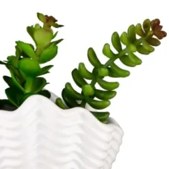 B&M Scandi Shore Small Shell Succulent -Cheap Warm House Furnish Store 380110 small shell succulent 8