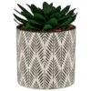 B&M Succulent In Botanist Print Pot - Green
