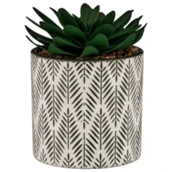B&M Succulent In Botanist Print Pot - Green