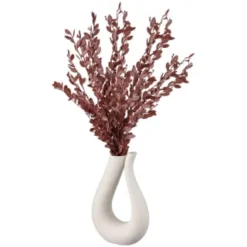 B&M Eucalyptus In Stone Pot