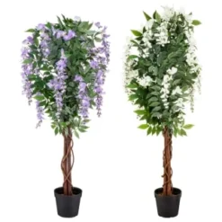 Bloom Wysteria Tree In Pot - Purple -Cheap Warm House Furnish Store 392870 4ft wysteria tree group