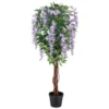 Bloom Wysteria Tree In Pot - Purple
