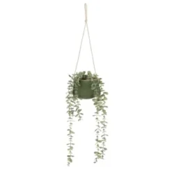 B&M Hanging Foliage In Green Ceramic Pot
