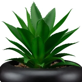 B&M Succulent In Bubble Vase 2 B&M Succulent In Bubble Vase - Image 2