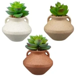 B&M Small Succulent Vase - Orange -Cheap Warm House Furnish Store 394662 small vase succulent group