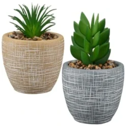 B&M Small Succulent Pot - Stone -Cheap Warm House Furnish Store 394663 small succulent group