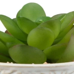 B&M Assorted Embossed Pots 13 B&M Assorted Embossed Pots -Cheap Warm House Furnish Store 394664 embossed pot 6