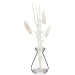 B&M Natural Dried Flowers In Vase